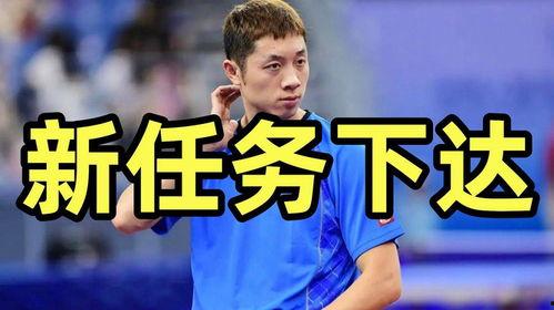 许昕最新爆料,我的乒乓球生涯幕后故事与心路历程” 第1张 许昕最新爆料,我的乒乓球生涯幕后故事与心路历程” 第1张